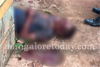 Ullal: Man killed in brutal dog attack